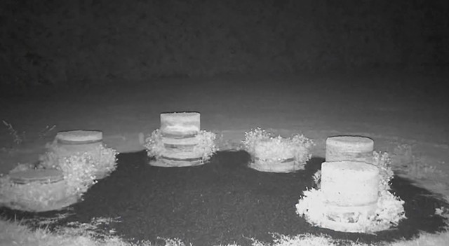 Site (Re)Earthed - Video