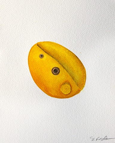 A watercolor painting of a bright yellow climbing hold. It has an oval shape with the small sides to the northwest and southeast. There is a small ledge that runs across the center of it, just above the bolt hole. It has a warm and sunny feel.