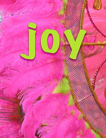 Pink Feather Joy