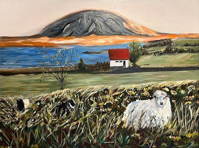 Sheep in Iceland