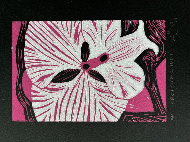 Orchid (for Judy) | Linoleum reduction relief print | Acrylic ink on black cotton fine-art paper | Signed artist's proof