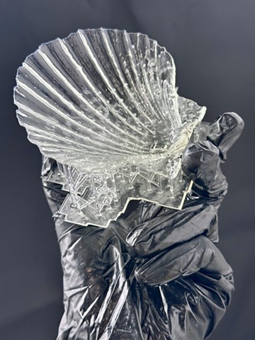 Shell 3D printed by Jenny Kendler in bio-resin