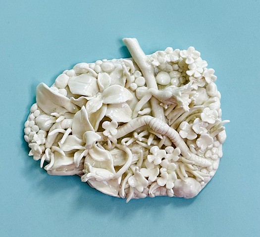 Little Landscape with Worm and Daisies