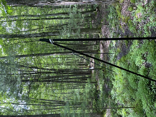 Deer Fencing at Hortus Arboretum (North Woods)