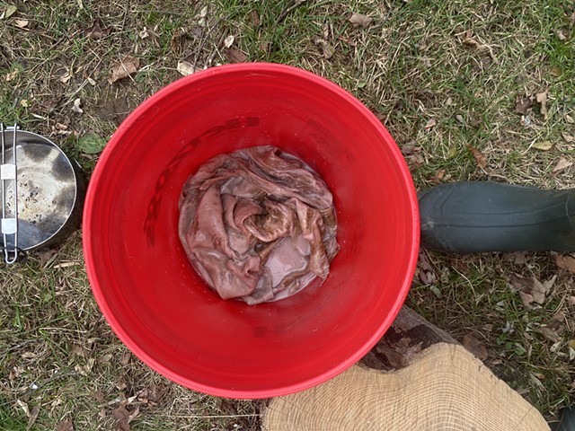 Hide with brain slurry worked in