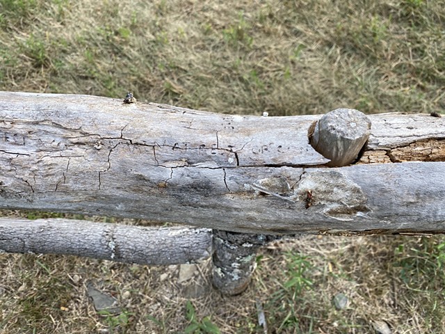 July (detail)