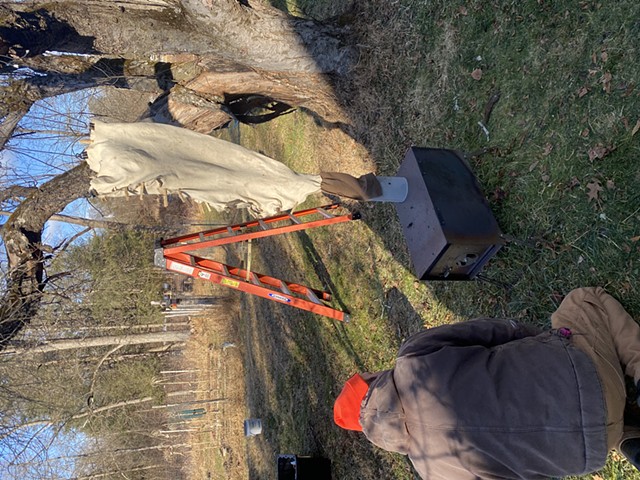 Preparing to smoke buckskin