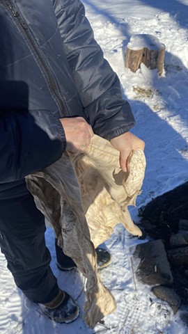MJ softening buckskin