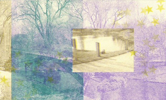 a day at the botanic (risograph)