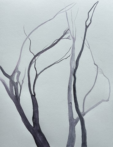 Trees Communicating #5