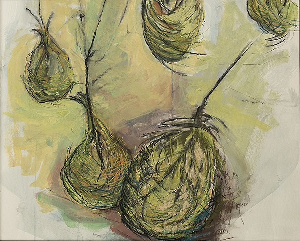 Rootballs