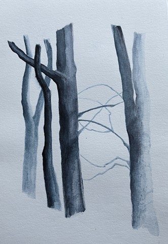 Trees Communicating #4
