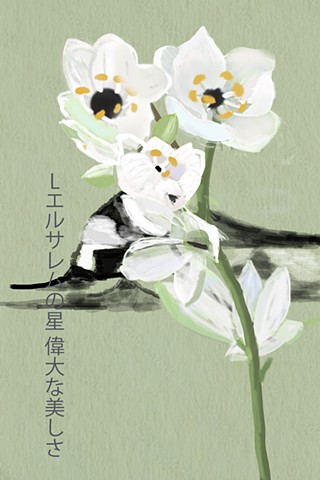 Star of Bethlehem Kanji