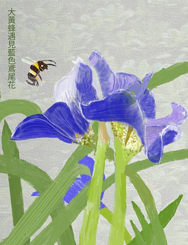 Blue Iris with Hanzi Script
