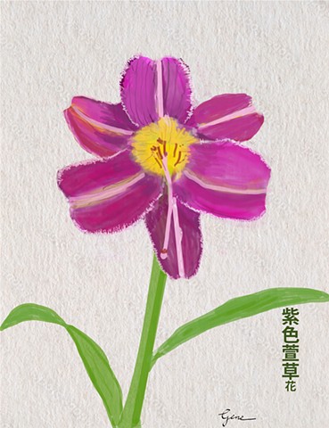 Purple Daylily Hanzi