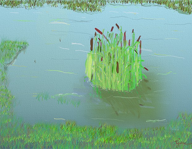 Cattails in Pond