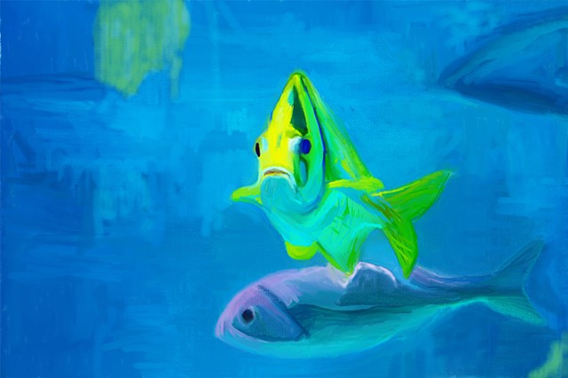 Aquarium Fish Head-On