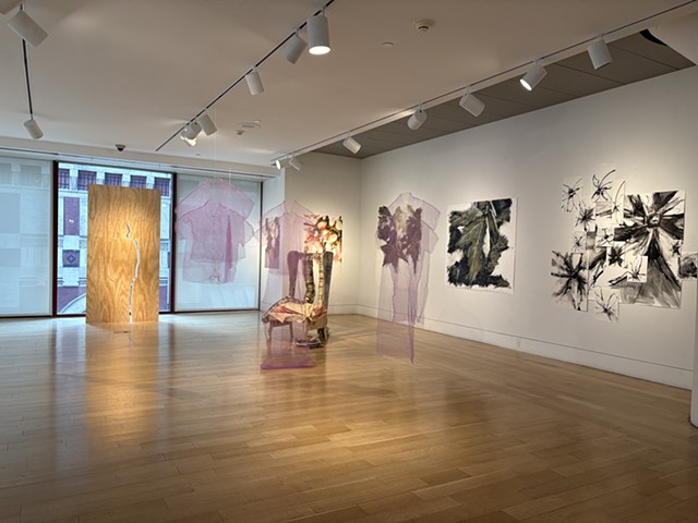 Installation Views
