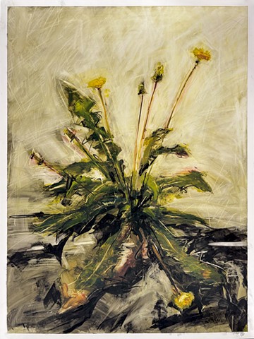 Dandelion #3