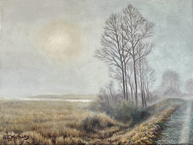 Foggy dike