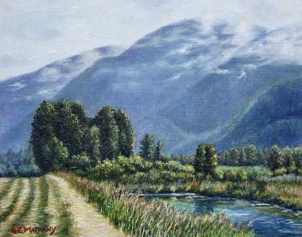 The field edge