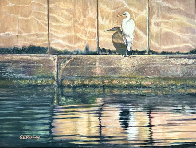 Egret
