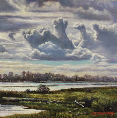 Along the Pitt River