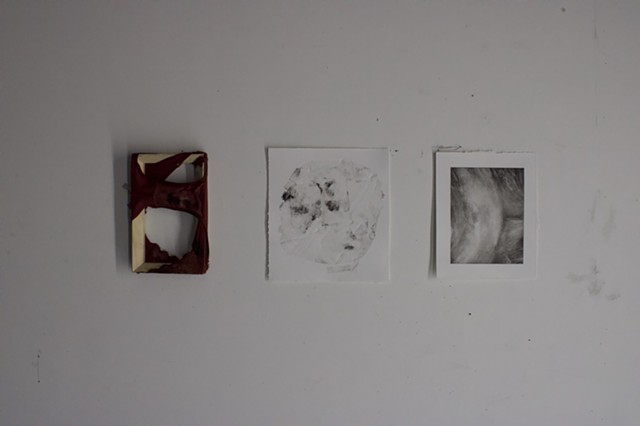 Untitled (Panty Project), detail