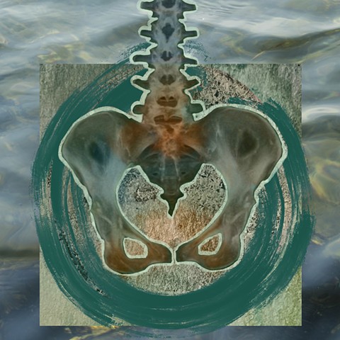Embodied  Ensō 