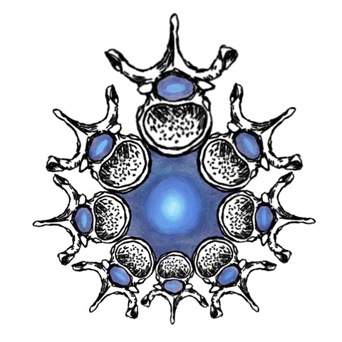 Vertebral Meditations 1/?
