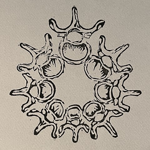 Vertebral Meditations 1/?