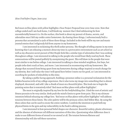 Ideas I had before I began, June 2025 