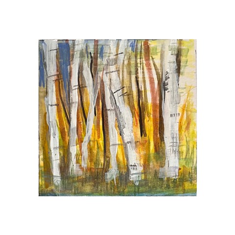 Passing Birch