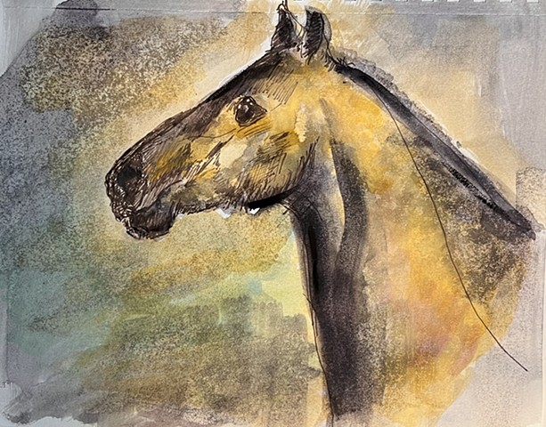 Russian Riding Horse