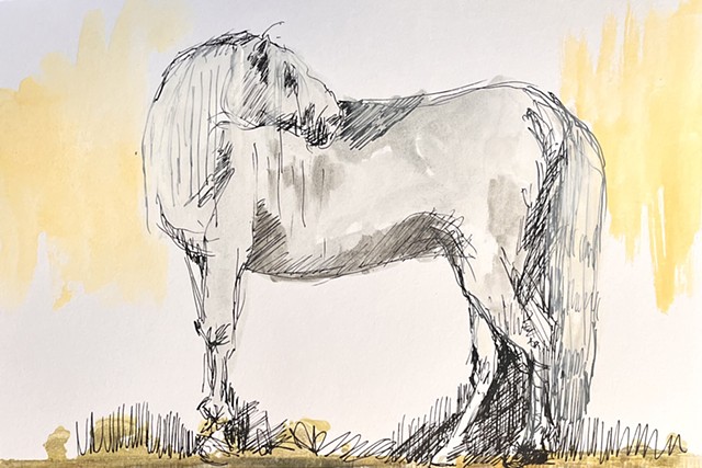 Sketchbook Horse