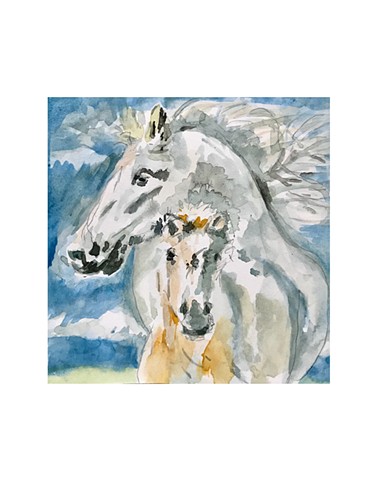 Icelandic Horses