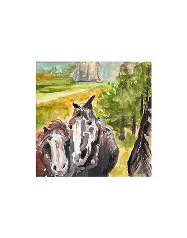 Curious Mustangs