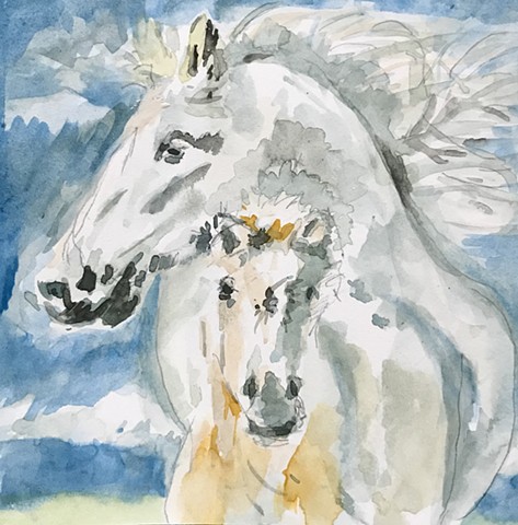 Icelandic Horses