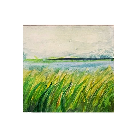 River Grass
