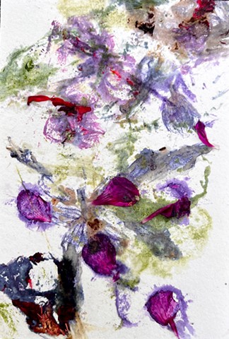 Flowers in the Garden