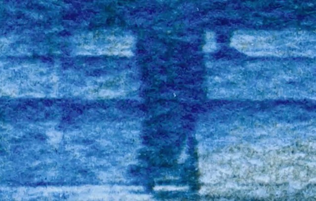 Experimental Cyanotype & Vandyke Film | Davon's Scooter