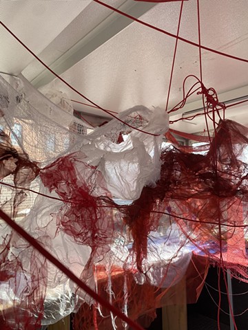 Duuude (Shoot Your Shot)