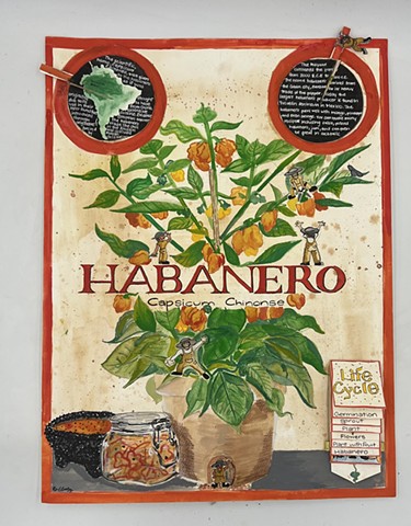 The Habanero (Spinning wheels)