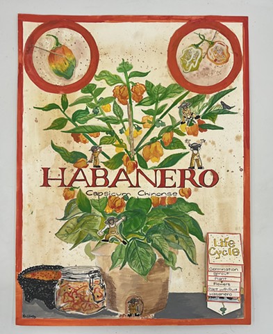 The Habanero