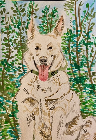 Dog