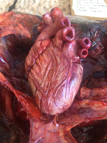 Sanguine (heart detail)