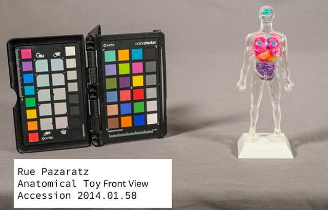 clear plastic anatomical toy with multi-coloured organs inside standing beside a colour checker.  Text panel at bottom left corner that reads: Rue Pazaratz Anatomical Toy Front View Accession 2014.01.58 