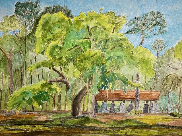 Live Oak, Chesnut Park, Palm Harbor, Florida