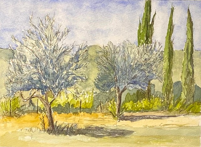Olive and Cypress Trees, Tuscany