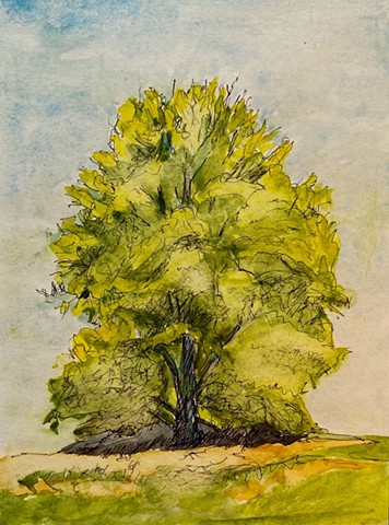 At the Arboretum